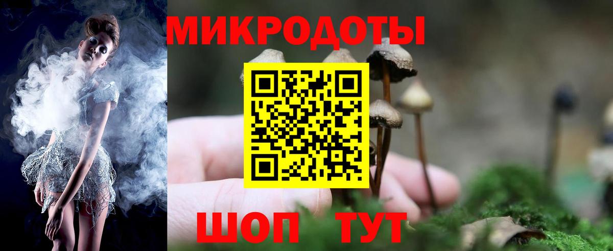 Псилоцибиновые грибы мицелий Орёл