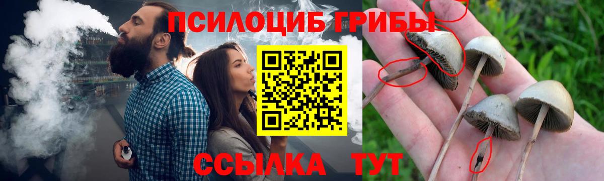 что такое наркотик  Вход с VPN  Псилоцибиновые грибы Magic Shrooms  Орёл  Галлюциногенные грибы MAGIC MUSHROOMS 